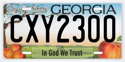 GA license plate CXY2300
