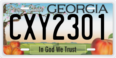 GA license plate CXY2301