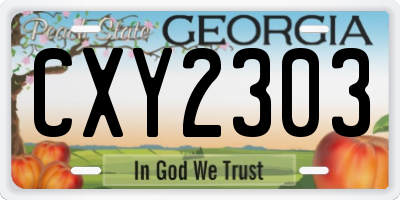 GA license plate CXY2303