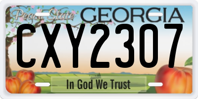 GA license plate CXY2307