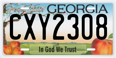 GA license plate CXY2308