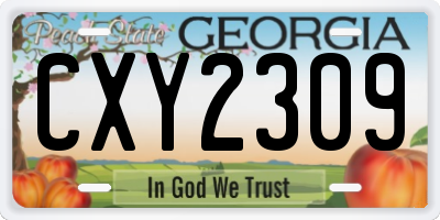 GA license plate CXY2309