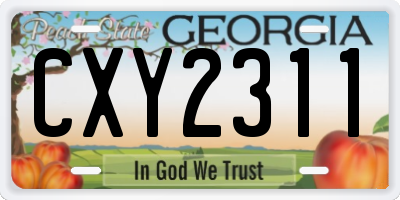 GA license plate CXY2311