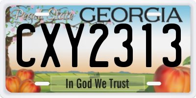 GA license plate CXY2313