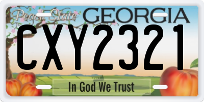 GA license plate CXY2321
