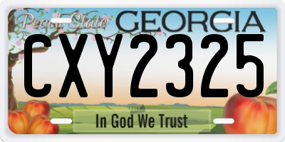 GA license plate CXY2325