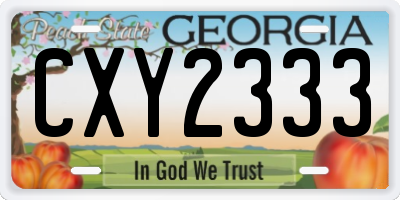 GA license plate CXY2333