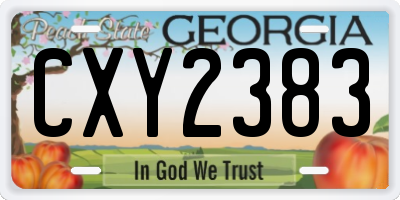 GA license plate CXY2383