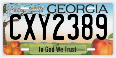 GA license plate CXY2389