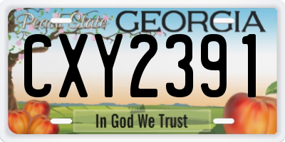 GA license plate CXY2391