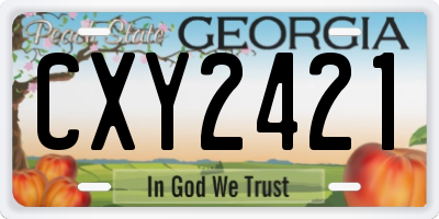 GA license plate CXY2421