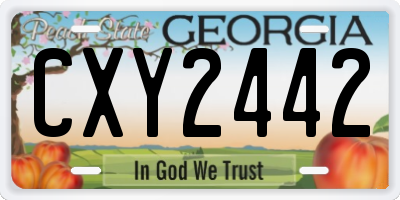 GA license plate CXY2442