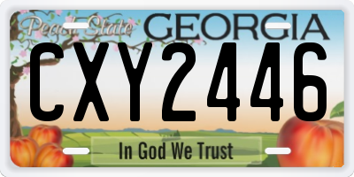 GA license plate CXY2446