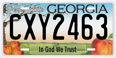 GA license plate CXY2463