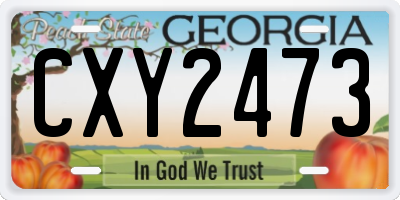GA license plate CXY2473