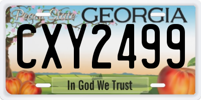 GA license plate CXY2499