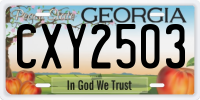 GA license plate CXY2503