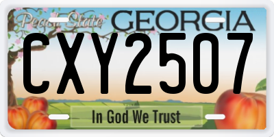 GA license plate CXY2507