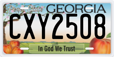 GA license plate CXY2508