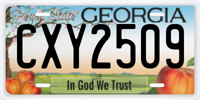 GA license plate CXY2509