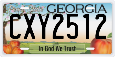 GA license plate CXY2512