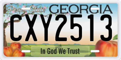 GA license plate CXY2513