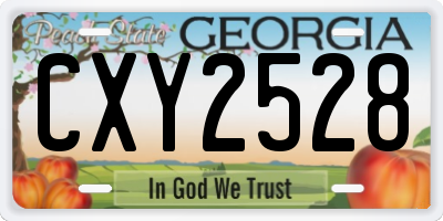 GA license plate CXY2528