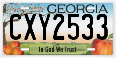 GA license plate CXY2533