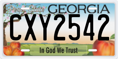 GA license plate CXY2542