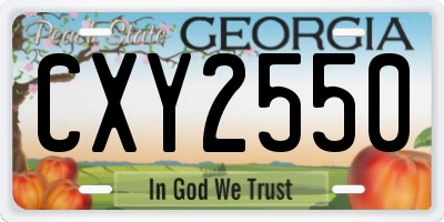 GA license plate CXY2550