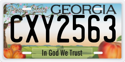 GA license plate CXY2563