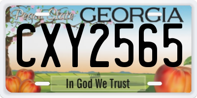 GA license plate CXY2565