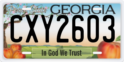 GA license plate CXY2603
