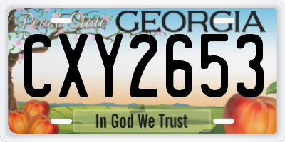 GA license plate CXY2653