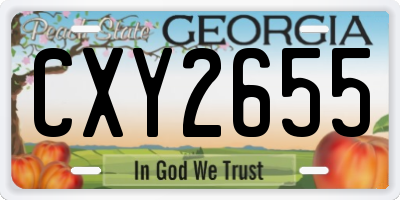 GA license plate CXY2655
