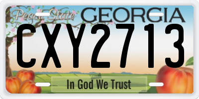 GA license plate CXY2713