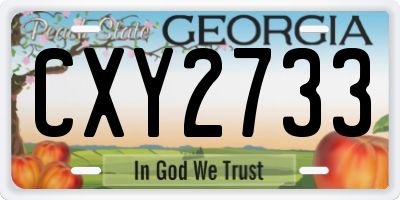 GA license plate CXY2733