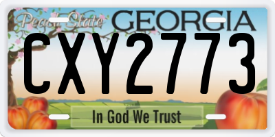 GA license plate CXY2773