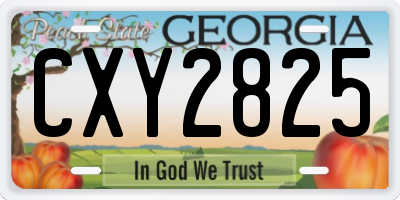 GA license plate CXY2825