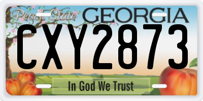 GA license plate CXY2873