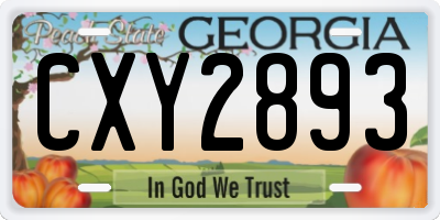 GA license plate CXY2893