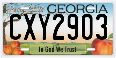GA license plate CXY2903