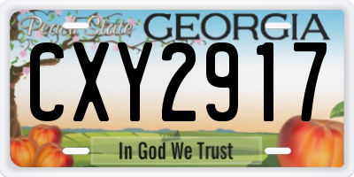 GA license plate CXY2917