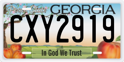 GA license plate CXY2919
