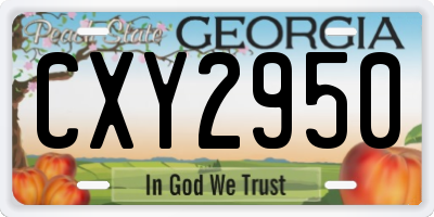 GA license plate CXY2950