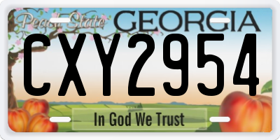 GA license plate CXY2954
