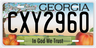 GA license plate CXY2960