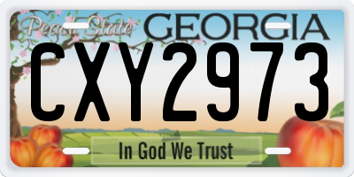 GA license plate CXY2973