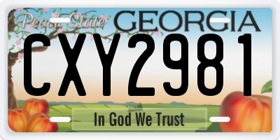 GA license plate CXY2981