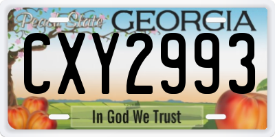 GA license plate CXY2993